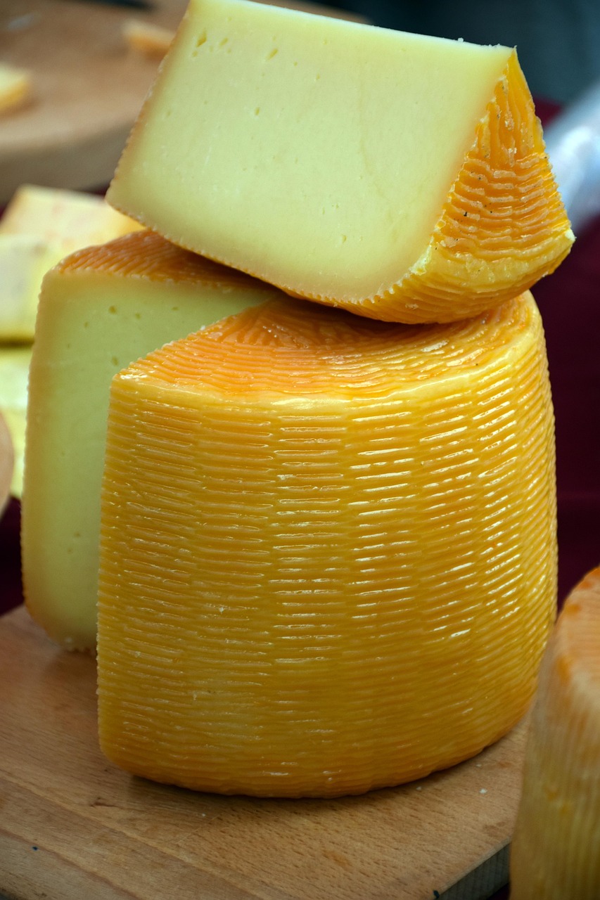 Käse selber machen: Einfache Anleitungen